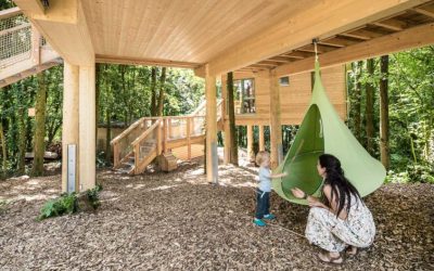 Holzhäuser: Einfach bessere Ökobilanz