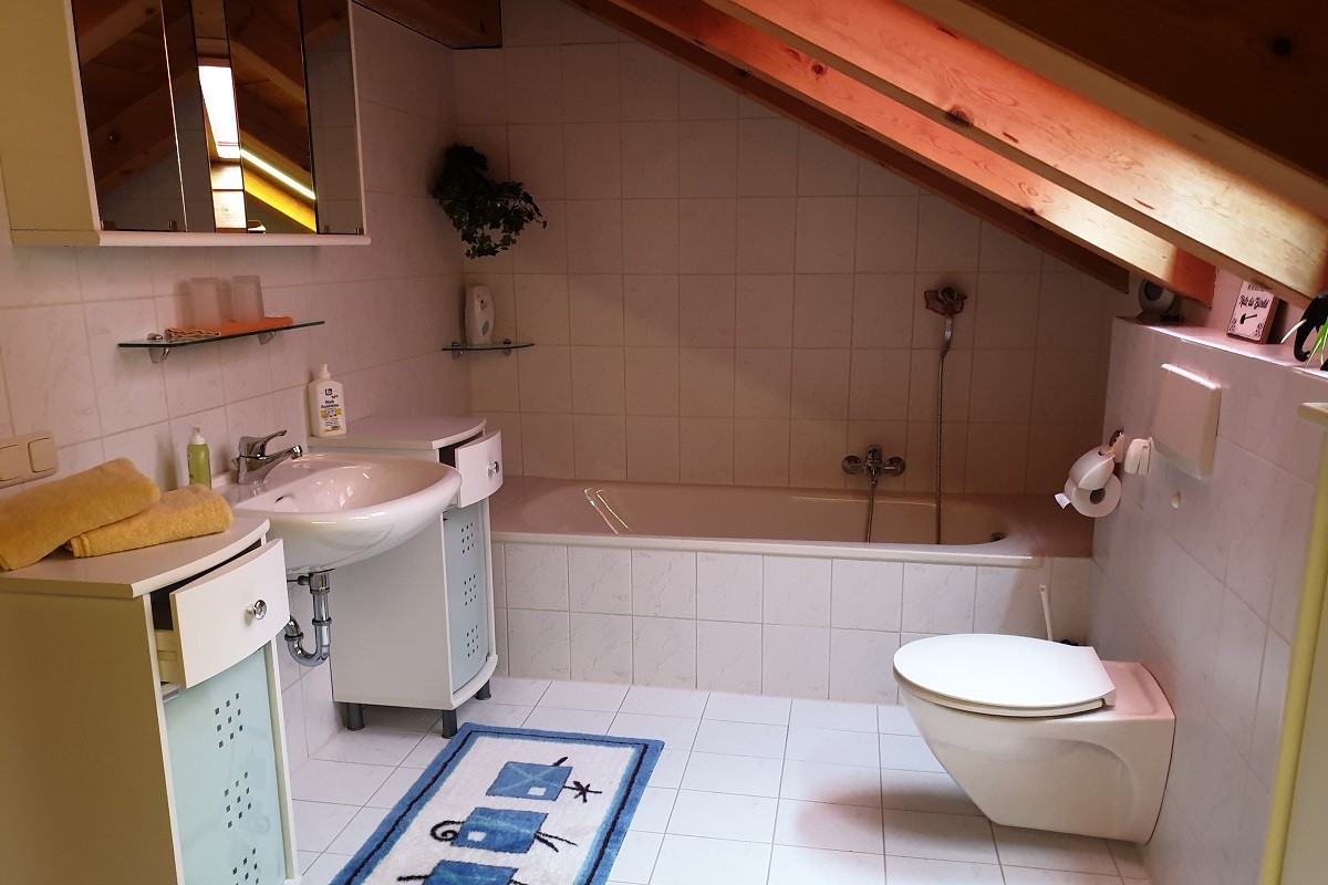 Vor der Sanierung Vor der Sanierung